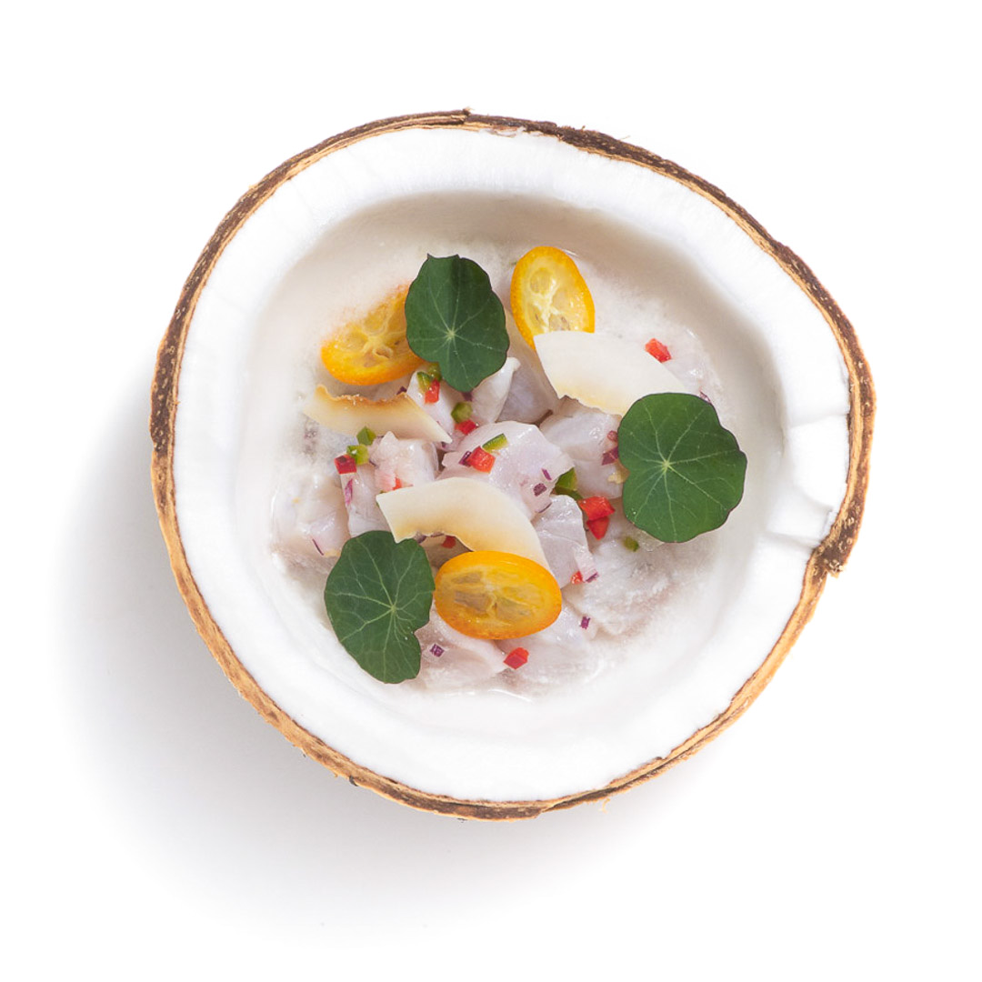 Corvina ceviche