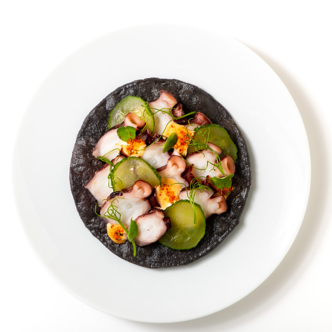 Octopus tostada